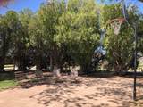 203 Pine Street - Photo 58