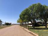 203 Pine Street - Photo 71