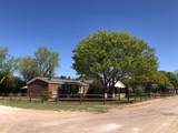203 Pine Street - Photo 72