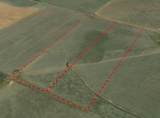  Hungate Tract 4 Road - Photo 13