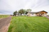 10825 Hickory Trail - Photo 6