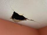 106 Peiffer Street - Photo 14