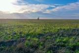 6675 Hwy 86 - Photo 17