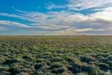 6675 Hwy 86 - Photo 22