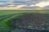 6675 Hwy 86 - Photo 40