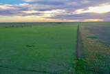 6675 Hwy 86 - Photo 42