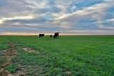 6675 Hwy 86 - Photo 47