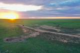 6675 Hwy 86 - Photo 49