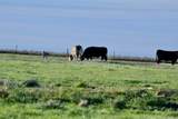 6675 Hwy 86 - Photo 50