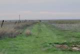 6675 Hwy 86 - Photo 54