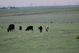 6675 Hwy 86 - Photo 57