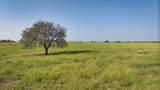  San Saba River Ranch - Photo 117