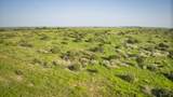  San Saba River Ranch - Photo 63