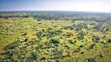  San Saba River Ranch - Photo 73