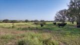  San Saba River Ranch - Photo 94