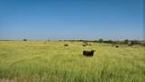  San Saba River Ranch - Photo 97