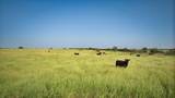  San Saba River Ranch - Photo 98
