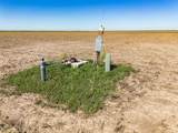  Fm 1881 Happy Farm - Photo 22