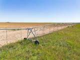  Fm 1881 Happy Farm - Photo 33