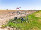  Fm 1881 Happy Farm - Photo 35