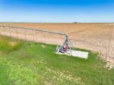  Fm 1881 Happy Farm - Photo 40