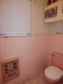 1706 Ellison Street - Photo 50