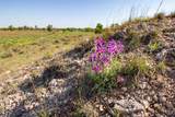 8040 County Road 2 - Photo 10