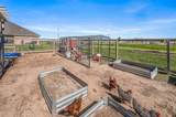 14989 Dowell Road - Photo 30