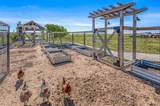 14989 Dowell Road - Photo 31