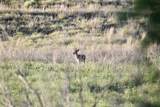  Fm 1619 - Photo 33