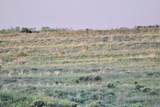  Fm 1619 - Photo 41