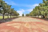 3465 Fm 1058 - Photo 28