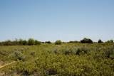  Pavolosky Place - Photo 1