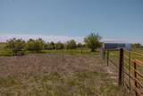  Pavolosky Place - Photo 22