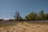  Pavolosky Place - Photo 23