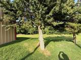 602 Young Street - Photo 5