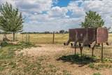 17701 White Wing Road - Photo 59