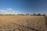 10101 Western Street - Photo 35