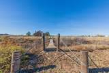 901 Kachina Drive - Photo 75