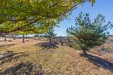 901 Kachina Drive - Photo 77