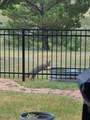 901 Kachina Drive - Photo 99