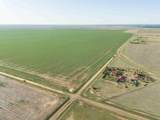  Friemel 320 Acres - Photo 2