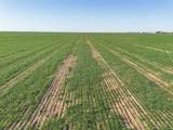  Friemel 320 Acres - Photo 3