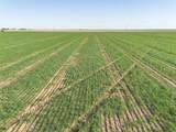  Friemel 320 Acres - Photo 4
