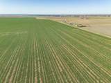  Friemel 320 Acres - Photo 5