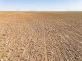  Friemel 640 Acres - Photo 11