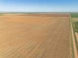  Friemel 640 Acres - Photo 3
