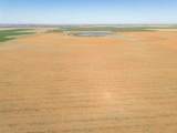  Friemel 640 Acres - Photo 4