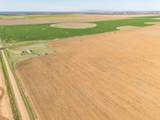  Friemel 640 Acres - Photo 5