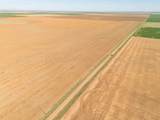  Friemel 640 Acres - Photo 7